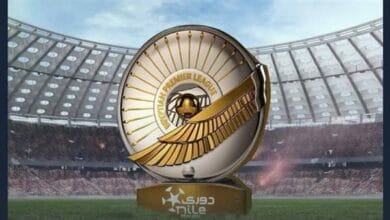 الدوري المصري