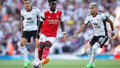 آرسنال ضد فولهام في مواجهة قوية بالجولة 30 للدوري الإنجليزي الممتاز