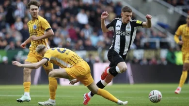 نيوكاسل يونايتد يواجه برايتون من أجل استعادة المركز الثالث بالدوري الإنجليزي الممتاز 7 نيوكاسل يونايتد يواجه برايتون من أجل استعادة المركز الثالث بالدوري الإنجليزي الممتاز