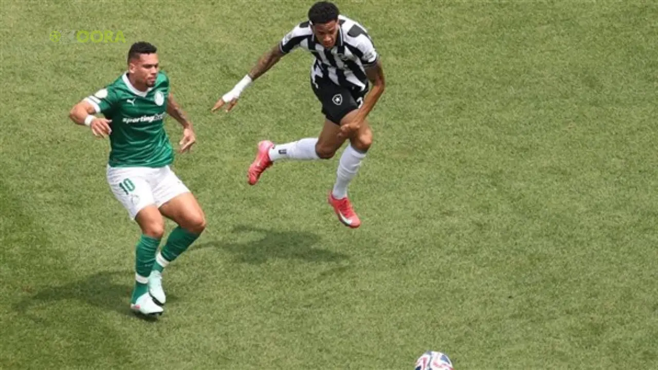 بالميراس يُقصي بوتافوغو بعد وقت إضافي ويعبر إلى ربع نهائي مونديال الأندية 2025 20 مباراة بالميراس ضد بوتافوغو