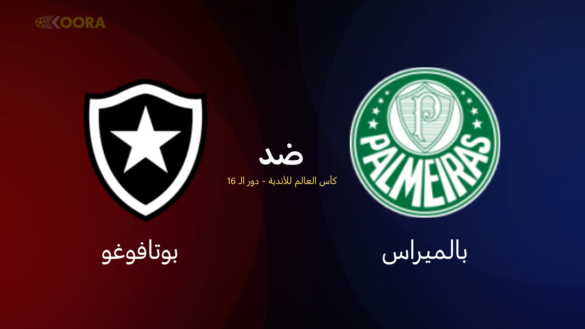 موعد مباراة بالميراس ضد بوتافوغو