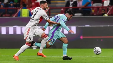 صراع مصري مثير.. رامي ربيعة يقود العين للفوز على الجزيرة بالدوري الإما